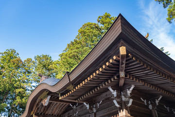 新潟 弥彦神社 拝殿