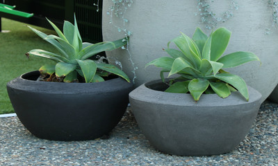 garden landscape pots design