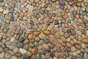 Pebbles floor texture background. Colorful round pebbles or gravels wall textured surface