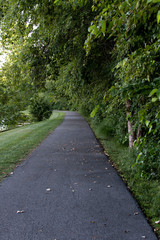 walking path