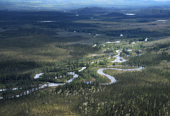 Snake shaped river in the James Bay taiga (Quebec, Canada)
