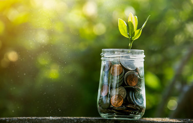 Coins in glass jar set on wooden plates, put in a green background with sun.
