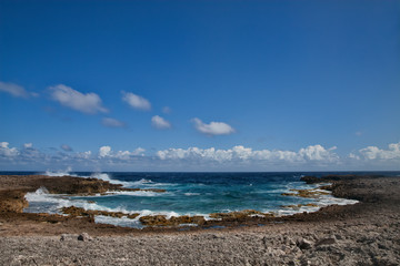 Fototapeta na wymiar Rugged Coast of Washington Slagbaai National Park, Bonaire