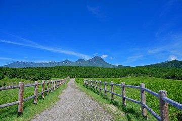 フレペの滝遊歩道から見る青空バックの知床連山の情景＠知床、北海道