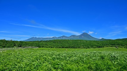 フレペの滝遊歩道から見る青空バックの知床連山の情景＠知床、北海道