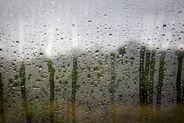 Rain drop on glass with blurred wild background.