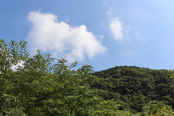 Obraz na płótnie Canvas 竜ヶ岳　自然