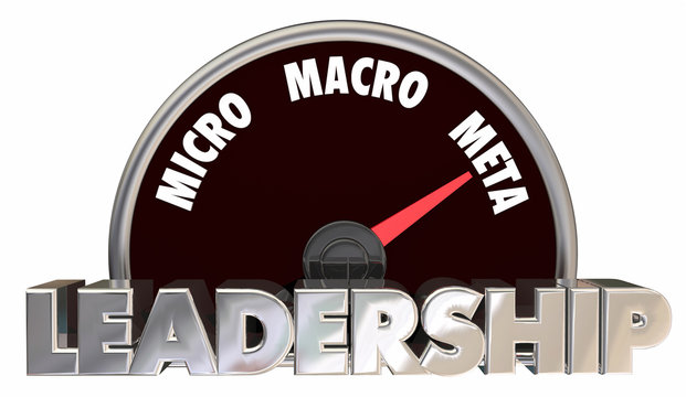 Leadership Models Micro Macro Meta Speedometer 3d Illustration