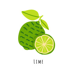Lime fruit flat vector illustration