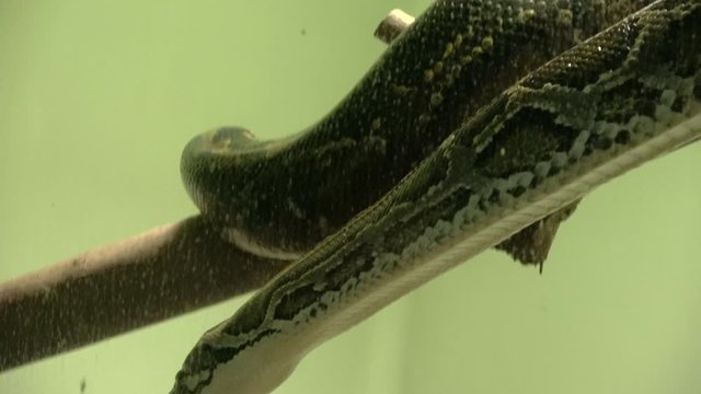 BPython14