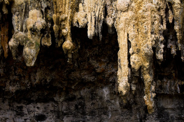 Stalactite from a small cave near the 12 apostles, Victoria Australia.