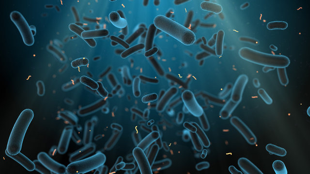 E. Coli Bacteria Found In Intestine Of Warm-blooded Organism - 3D Render