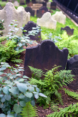 Cemetery tombstone