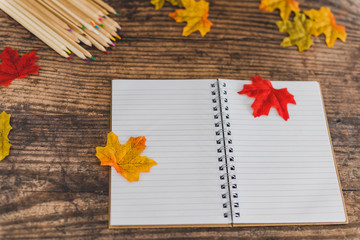 back to school tabletop arrangement with coloured pencils notepad and mixed stationery items among autumn leaves