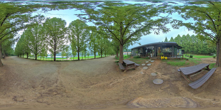 Damyang, South Korea - 23 July 2019 Metasequoia Road in summer. 360 degrees spherical panorama of Metasequoia Road which is one of most beautiful paths in Korea. VR /AR content.