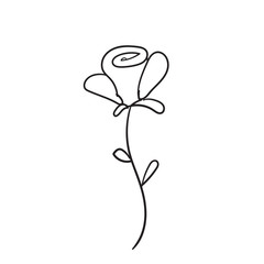 doodle rose illustration vector isolated on white