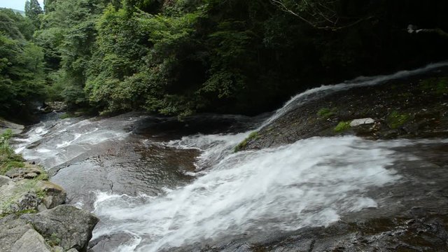 緑の森と布の滝の流れ