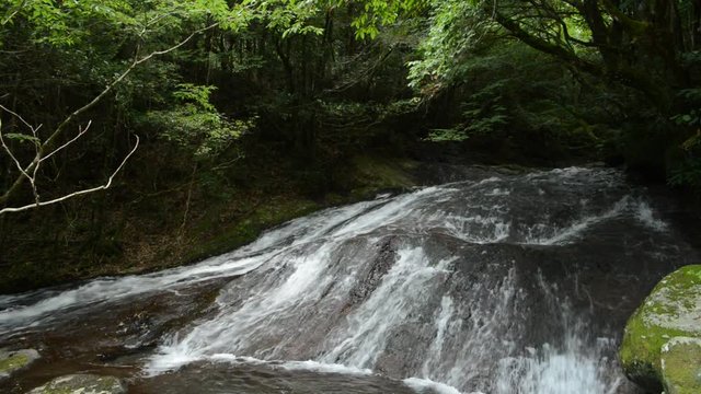 緑の森と岩の斜面を流れる清流