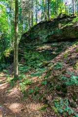 Thüringer Wald Gießübel Rennsteig