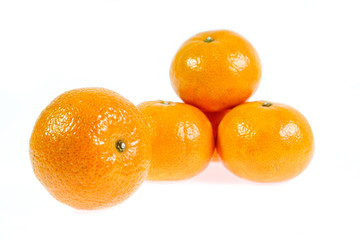 orang isolated on white