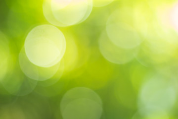 green nature light background, abstract green bokeh