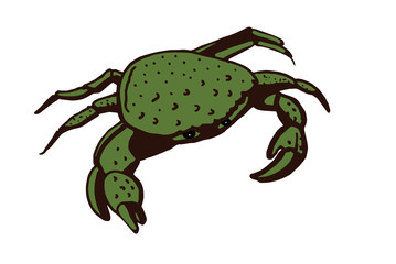 Crab. Stylized line drawing