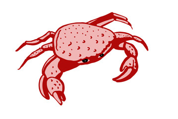 Crab. Stylized line drawing