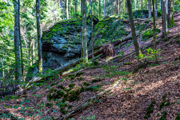 Thüringer Wald Gießübel Rennsteig