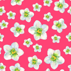 Beautiful seamless pattern of white flowers of hellebore on red background