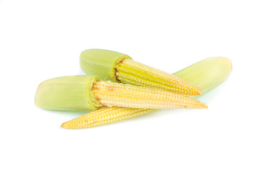 baby corn isolated on white background