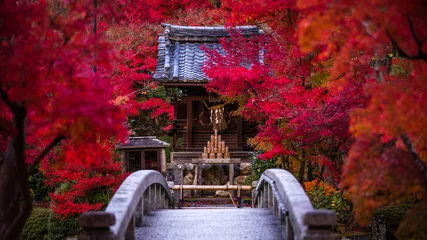 Zelfklevend Fotobehang Prefectuur Kyoto Eikando Herfstbladeren © TAKUYA ARAKI