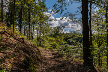 Thüringer Wald Gießübel Rennsteig
