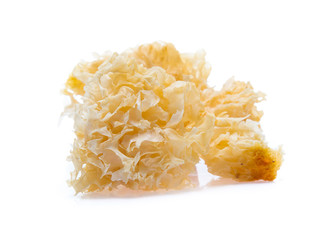White jelly fungus, snow fungus, traditional chinese herbal medicine isolated on white background