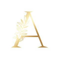 letter of the alphabet of golden color