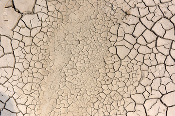 A dry cracked ground