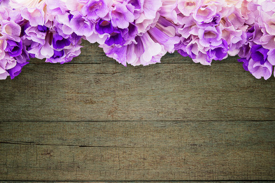 Pink purple flower mansoa alliacea or garlic vine frame on grunge vintage wooden background