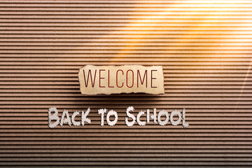 Piece of torn paper on plain background