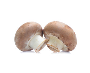 Fresh champignon mushrooms isolated on white