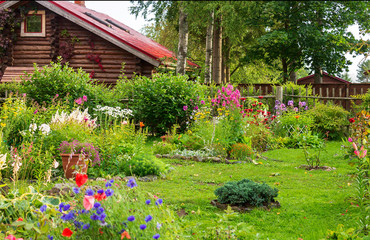 Homestead out of town.Colorful and varied flowers and plants in the month of August