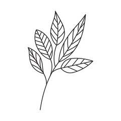 silhouette of branch with leaves on white background