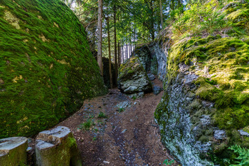 Fototapeta premium Thüringer Wald Gießübel Rennsteig