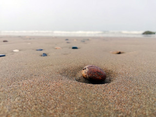 Fototapeta na wymiar Beautiful beach with a colorful pebbles in sand
