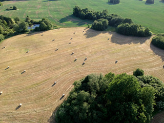 Cut hay field with hay bale on meadow in summer, aerial