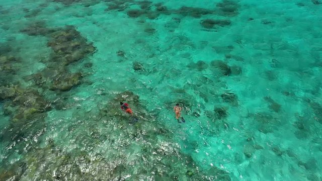 Aerial Drone View of people snorkelling the coral reef in the blue amazing tropical water of the caribbean