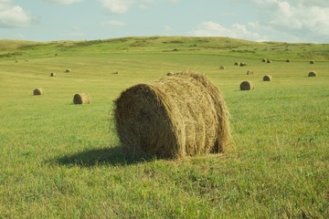 View of a field with sheaves on a background of mountains. Rural landscape.