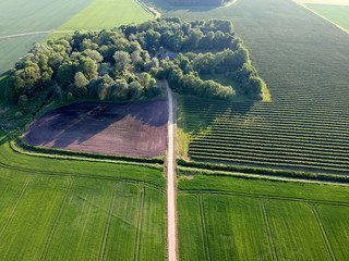 Aerial view of old homestead on farmland fields in spring