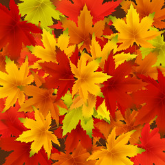 Naklejka na ściany i meble Autumn falling leaves background template with red, orange, brown and yellow maple leaves