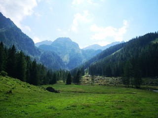 Fototapeta na wymiar Alpen Gebirge Ennstal