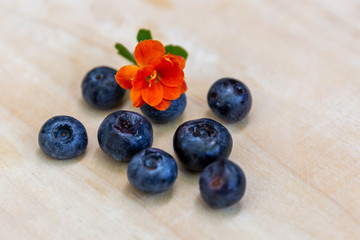 Hazelnuts and blueberries on white wood plank