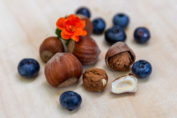 Hazelnuts and blueberries on white wood plank